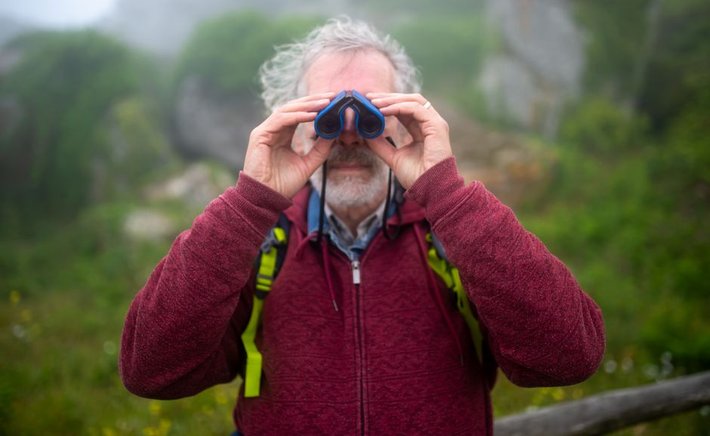 The Art of Paying Attention: Why Nature Writing Rewires How We See
