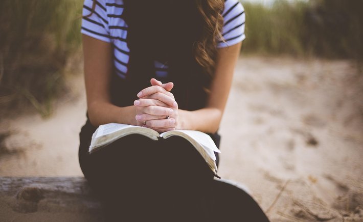 The Quiet Radicalism of Sitting Still: Books That Teach Us to Watch