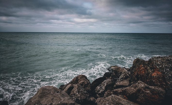 Tides, Salt, and Memory: Books That Follow the Coastline